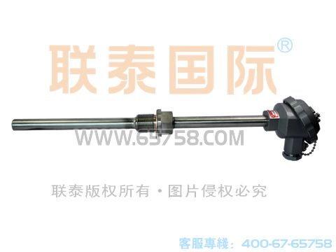 WRNN-220/WRNN-230 装配式耐磨热电偶 