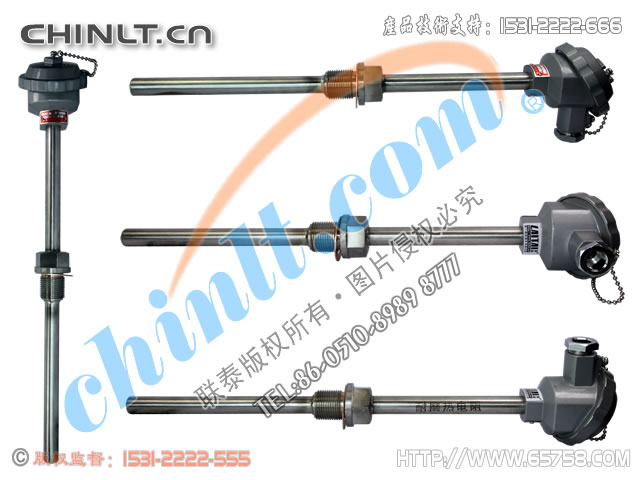 WZCN2-220/WZCN2-230 装配式双支耐磨热电阻 
